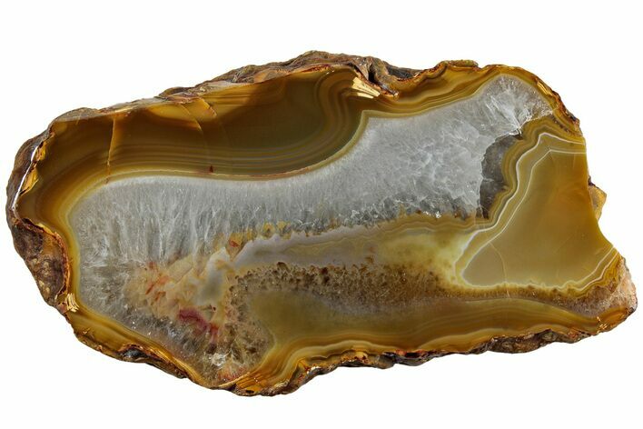 Polished Banded Island Agate Section - South Pacific #229068